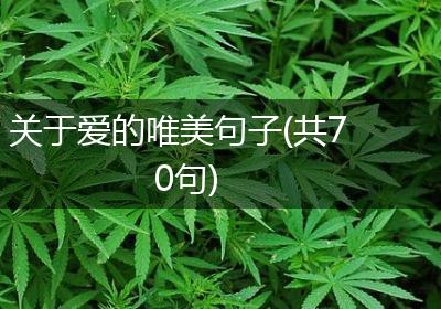 关于爱的唯美句子(共70句)