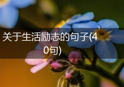 关于生活励志的句子(40句)