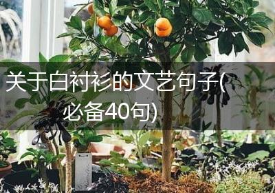 关于白衬衫的文艺句子(必备40句)