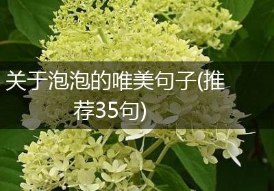 关于泡泡的唯美句子(推荐35句)