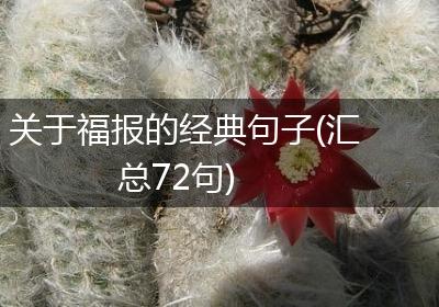 关于福报的经典句子(汇总72句)
