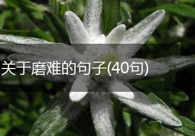 关于磨难的句子(40句)