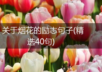 关于烟花的励志句子(精选40句)