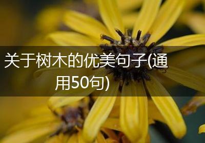 关于树木的优美句子(通用50句)