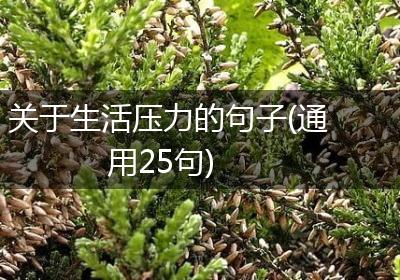 关于生活压力的句子(通用25句)