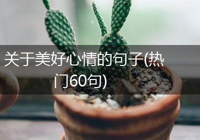 关于美好心情的句子(热门60句)