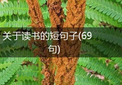 关于读书的短句子(69句)