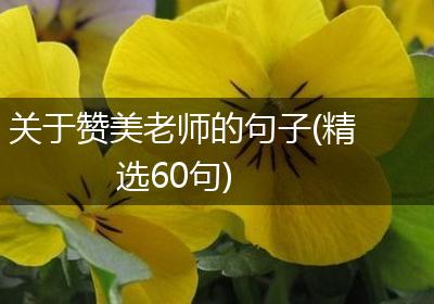 关于赞美老师的句子(精选60句)