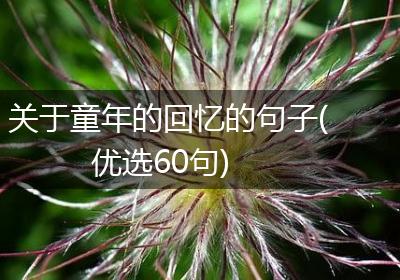 关于童年的回忆的句子(优选60句)