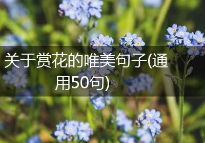 关于赏花的唯美句子(通用50句)