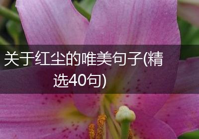 关于红尘的唯美句子(精选40句)
