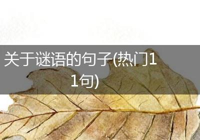 关于谜语的句子(热门11句)