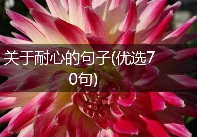 关于耐心的句子(优选70句)