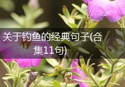 关于钓鱼的经典句子(合集11句)
