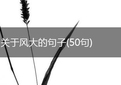 关于风大的句子(50句)