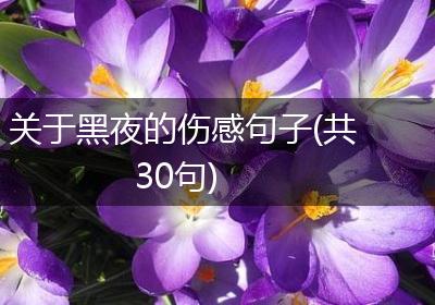 关于黑夜的伤感句子(共30句)