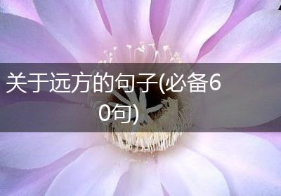 关于远方的句子(必备60句)