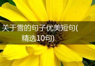 关于雪的句子优美短句(精选10句)