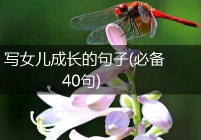 写女儿成长的句子(必备40句)