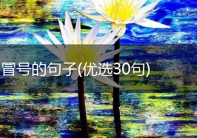冒号的句子(优选30句)