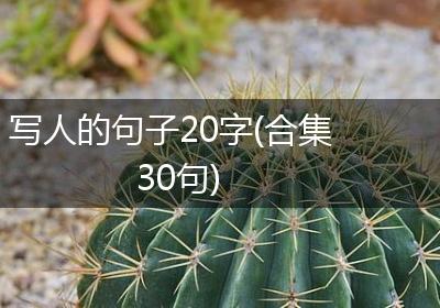 写人的句子20字(合集30句)