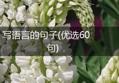 写语言的句子(优选60句)