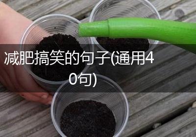 减肥搞笑的句子(通用40句)