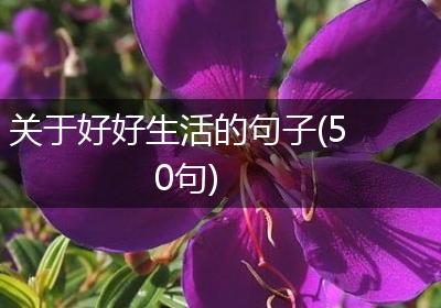 关于好好生活的句子(50句)