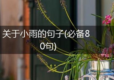 关于小雨的句子(必备80句)