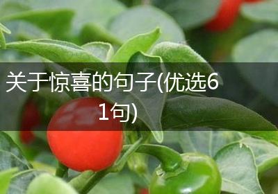 关于惊喜的句子(优选61句)