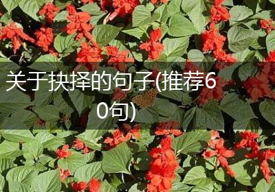 关于抉择的句子(推荐60句)