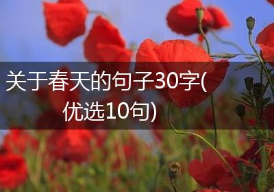 关于春天的句子30字(优选10句)