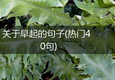 关于早起的句子(热门40句)