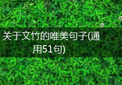 关于文竹的唯美句子(通用51句)