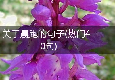 关于晨跑的句子(热门40句)