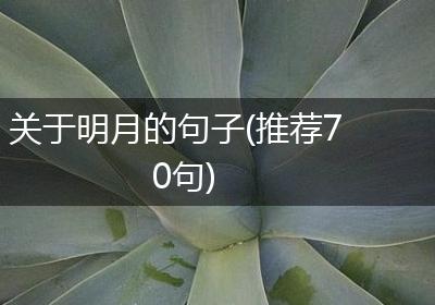 关于明月的句子(推荐70句)
