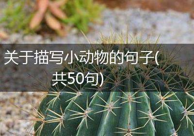 关于描写小动物的句子(共50句)