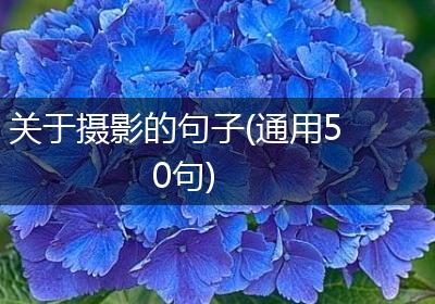 关于摄影的句子(通用50句)