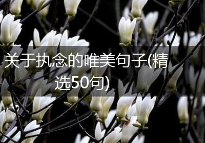 关于执念的唯美句子(精选50句)