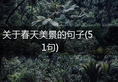 关于春天美景的句子(51句)