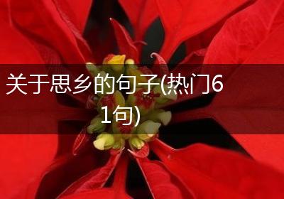 关于思乡的句子(热门61句)