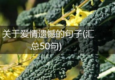 关于爱情遗憾的句子(汇总50句)