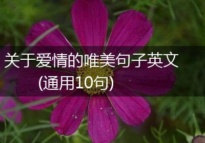 关于爱情的唯美句子英文(通用10句)