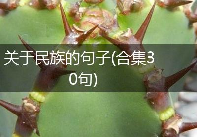 关于民族的句子(合集30句)