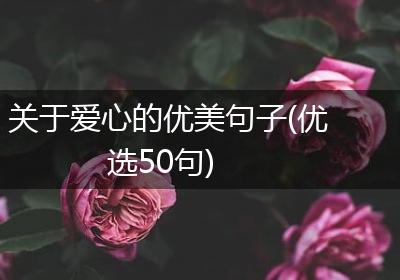 关于爱心的优美句子(优选50句)