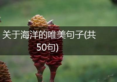 关于海洋的唯美句子(共50句)