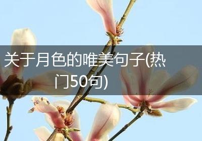 关于月色的唯美句子(热门50句)