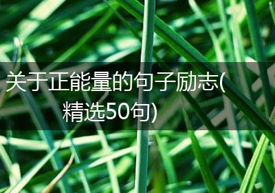 关于正能量的句子励志(精选50句)