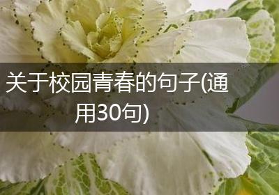 关于校园青春的句子(通用30句)