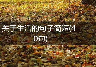 关于生活的句子简短(40句)